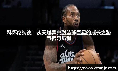 雷火电竞亚洲官网